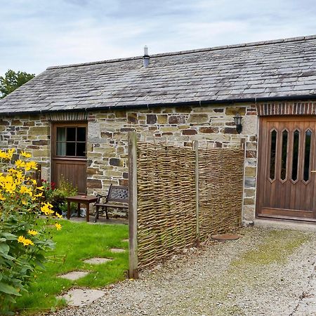 Penno Cottage - 24440 Bodmin Buitenkant foto